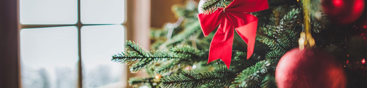 WINDOWS AS A BACKGROUND FOR CHRISTMAS DECORATION.